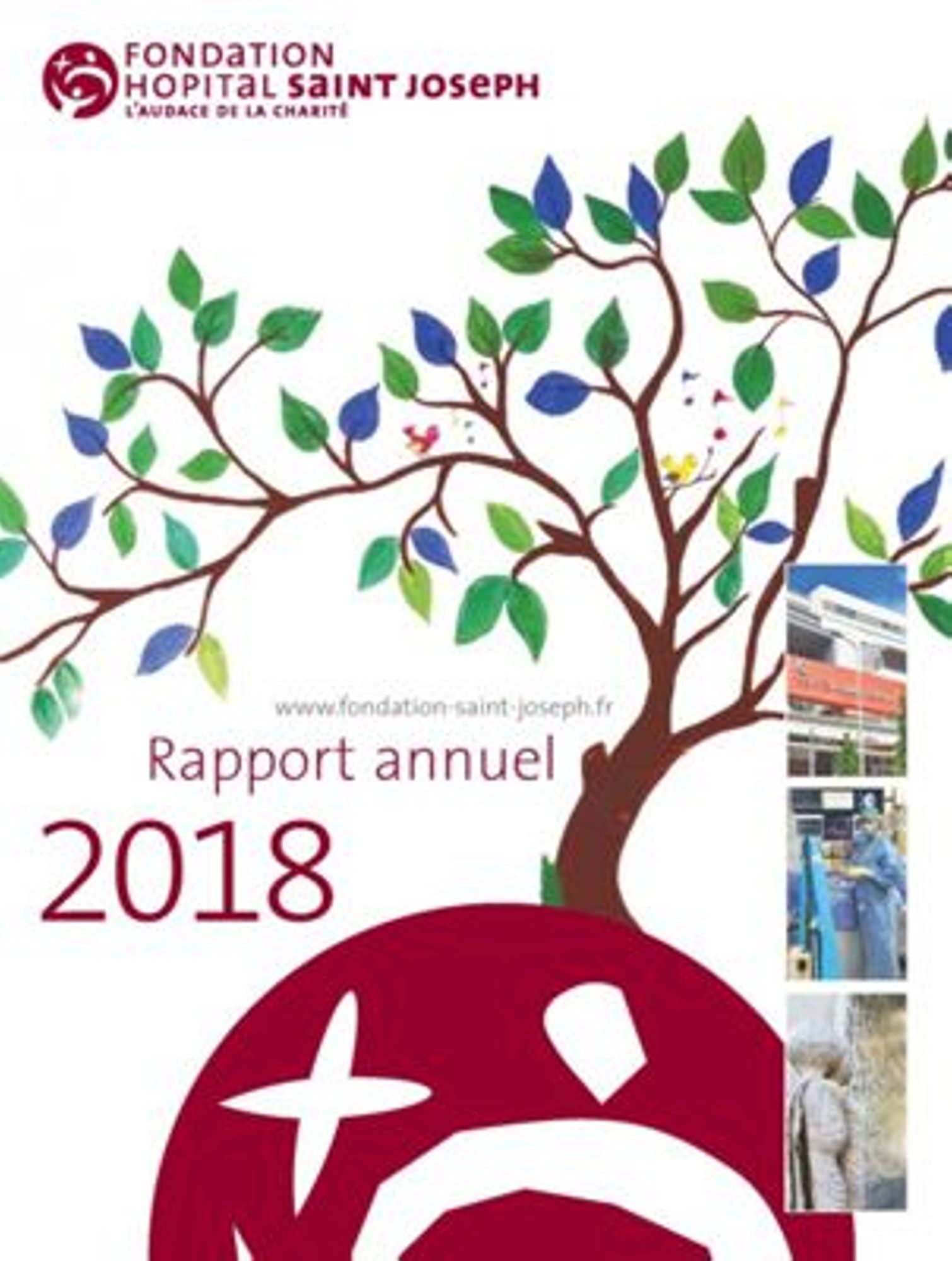 Le Rapport Annuel de la Fondation
