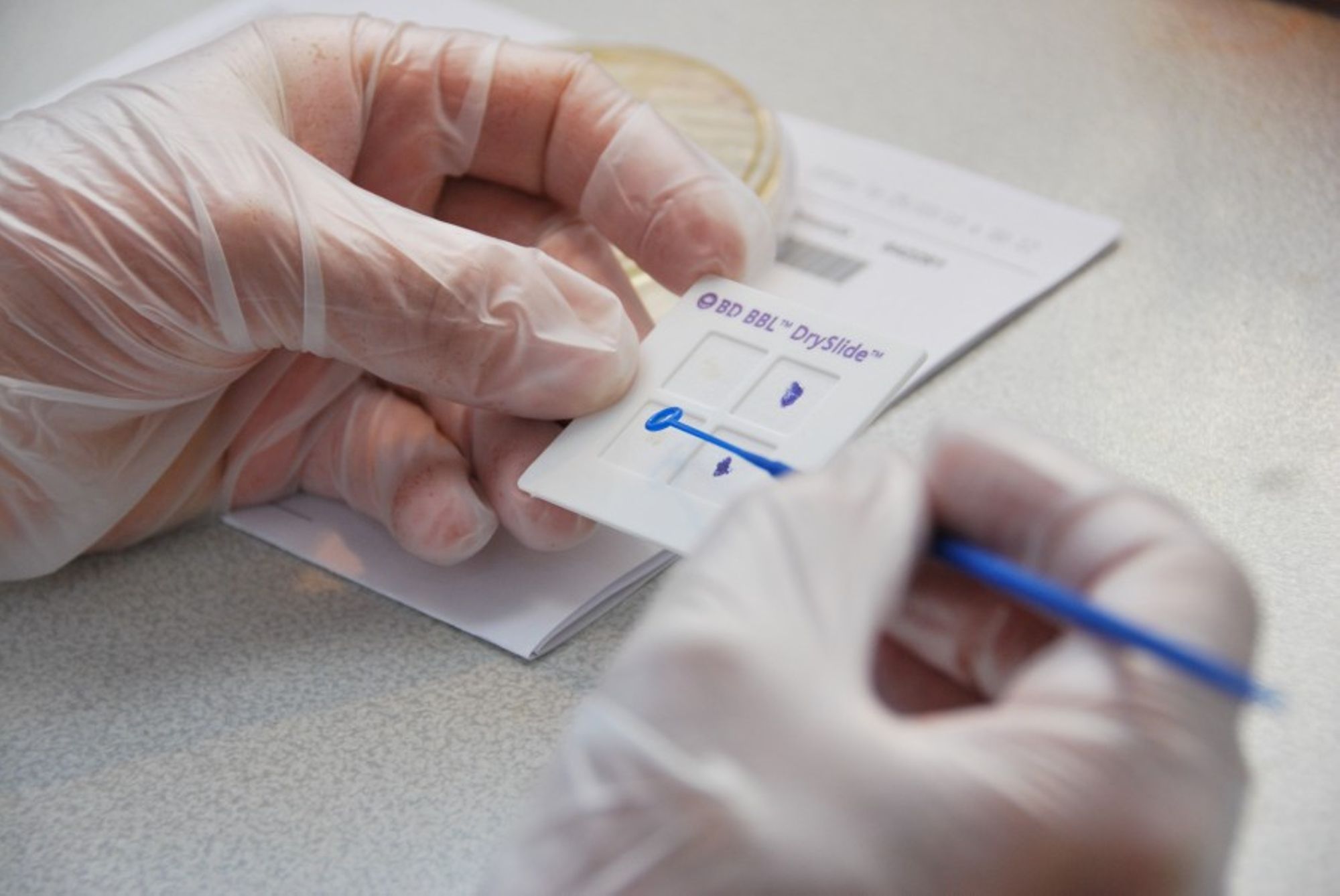 Ressources documentaires