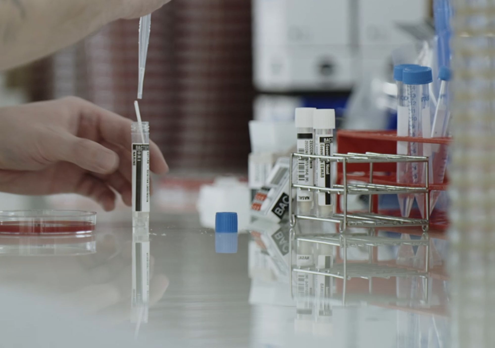 Nouvelle Lettre aux Amis : Recherche Médicale et Cancérologie