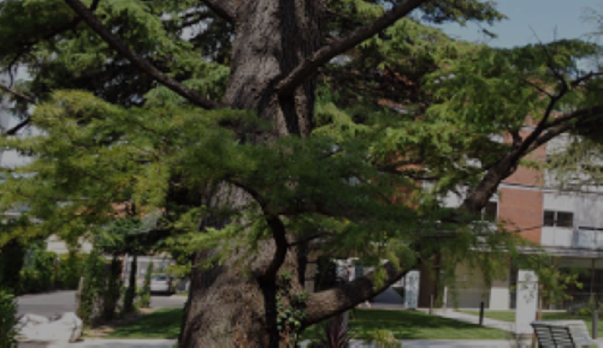 Clinique Saint Dominique